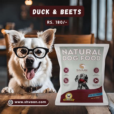 Wet Dog Food Made with Real Duck and Beet Flavour (Beet Duck) - 200g ...