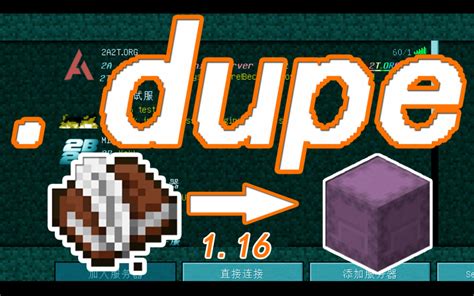 Duplicate Minecraft Java World 的图像结果