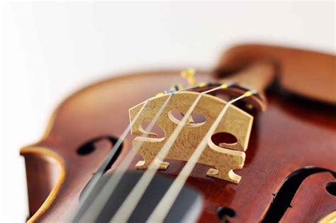 Image result for String Instruments