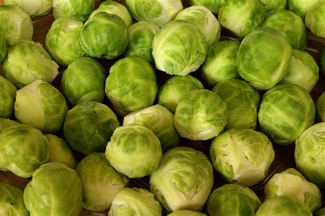 Brussels Sprouts Free Stock Photo - Public Domain Pictures