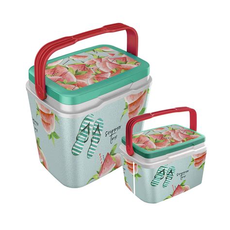 Buy Life Story Cooler Box Insulated Cool Box, Large & Small Capacity 29 ...