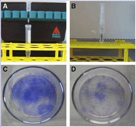 Image result for Magnetically Activated Cell Sorting