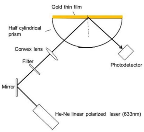 Research Progress on Immunological Biochips Based on Surface Plasmon ...