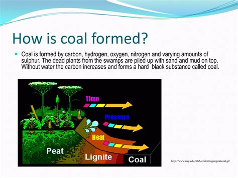 Fossil Fuels Source 的图像结果