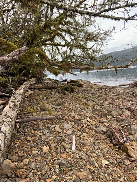 Lake Merwin Camper's Hideaway Camping | The Dyrt