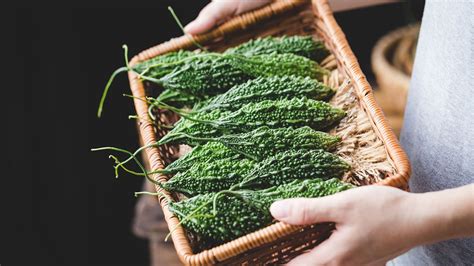 Want To Lose Weight Naturally? Weight Loss With Bitter Gourd Juice | GQ ...