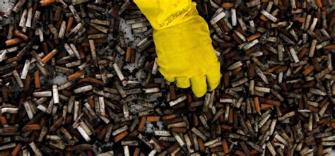 Smokers Are Polluting The Ocean More Than Plastic, As Cigarette Butts ...