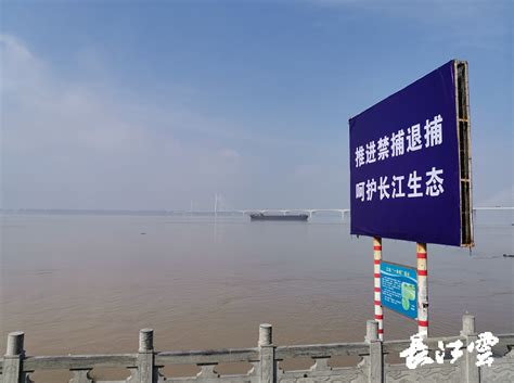 荆州开发区综合执法：“九龙治水”变“一龙治水” - 荆州市城市管理执法委员会