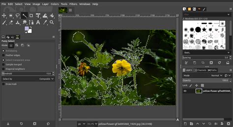 Image result for GIMP Selection Tool Tutorial
