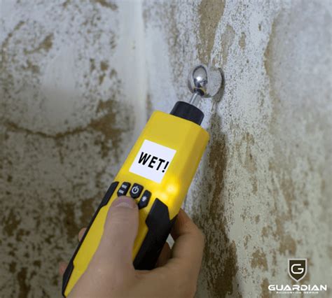 Image result for Efflorescence Repair