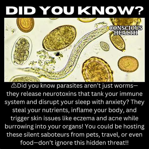 ☀️Conscious Health | 🪱🪱Parasites are a silent health threat—don’t let them take over! 🐛 My all ...