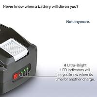 AlphaWorks Lithium-Ion Rechargeable Battery Pro Super Duty 48V DC 2Ah ...