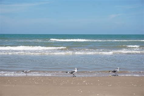 The 5 Most Beautiful Beaches in Texas | Coastal Travel Guide