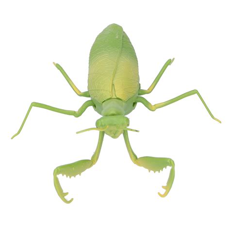 Image result for Remote Control Insects