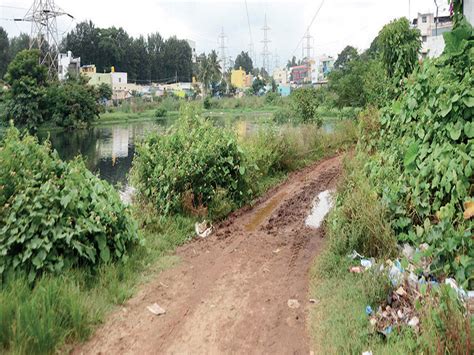 Watch: Peenya has the most polluted lake in Bengaluru