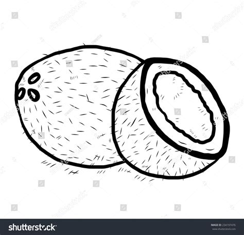 Coconut Clipart Black And White at ganmalakaiblog Blog