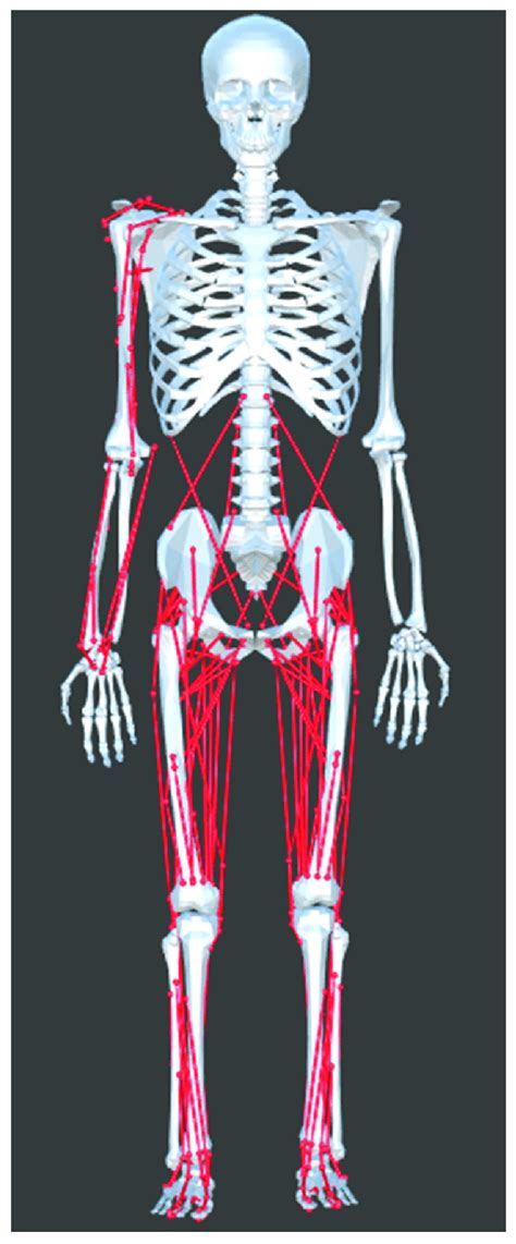 Image result for OpenSim Simulator