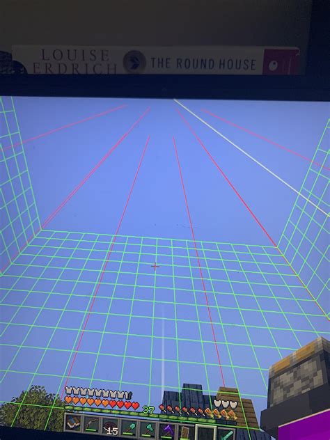 Image result for Minecraft Chunk Border Mod