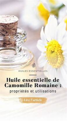 huile de camomille pour cheveux huile essentielle de camomille romaine propri 233 t 233 s et huile de camomille pour cheveux huile essentielle de camomille romaine propri 233 t 233 s et