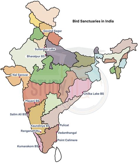 Bird Sanctuaries in India List State-wise, Map, Importance