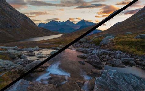 Image result for Focus Stacking Tutorial