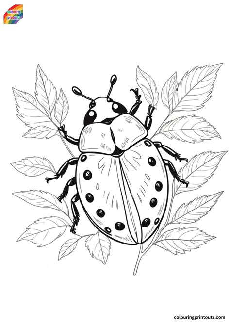 10 + Ladybird Colouring Pages