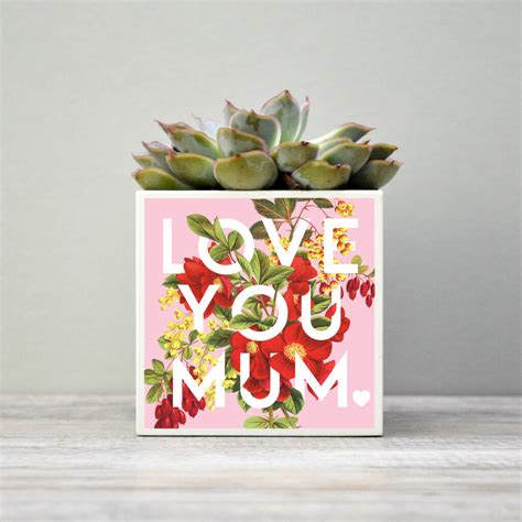 'Love You Mum' Mother's Day Plant Pot And Houseplant By Hands & Hearts