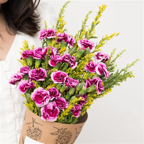 Subscribe to Cut Flowers WITH FILLERS - Premium Plus – The Flora