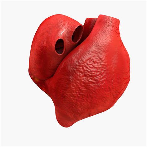 Image result for Heart with Name Using Python