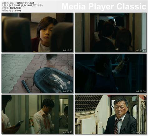 [BT下载][釜山行2:半岛/尸速列车:感染半岛][BD-MKV][中文字幕][1080P][15.8GB] 电影 2020 韩国 惊悚 纯净版