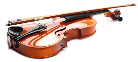 Image result for The String Instruments