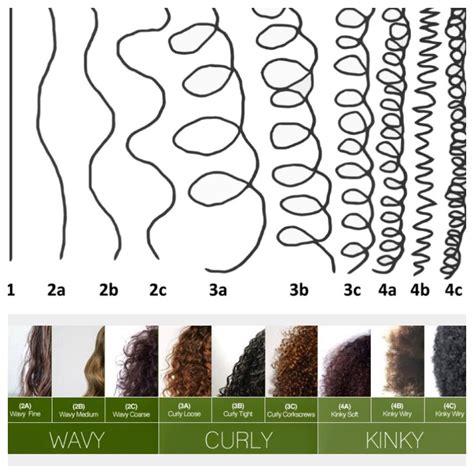 What Are The Different Types Of Curl Patterns at Sarah Bugarin blog