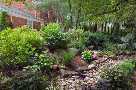 How to Make a Simple Rain Garden to Solve Stormwater Problems