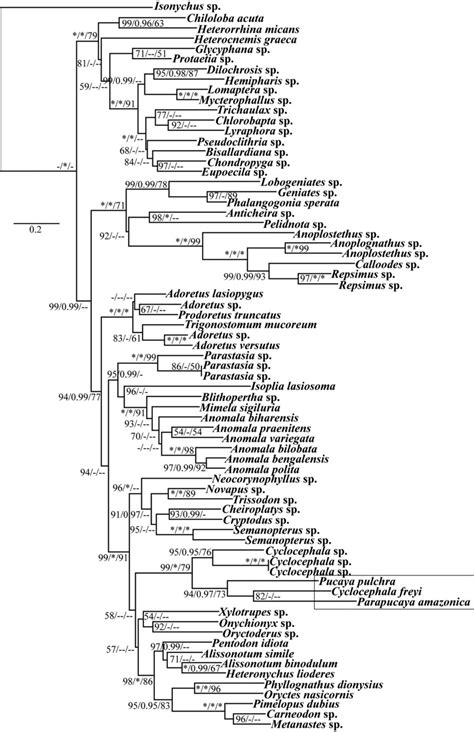 Image result for Bootstrap Tree