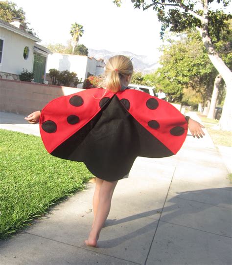 Ladybug Wings Costume