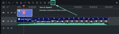 STT/TTS/SRT for Mac