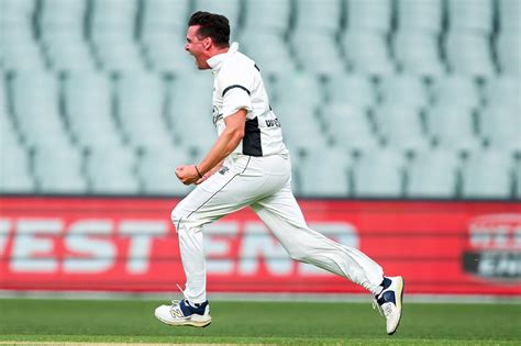 Wickets, injury, wicket: Jhye Richardson's dramatic Shield return