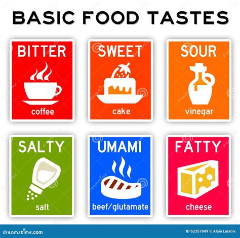 Bitter Sour Sweet Salty Tongue Taste Map Cartoon Vector | CartoonDealer ...