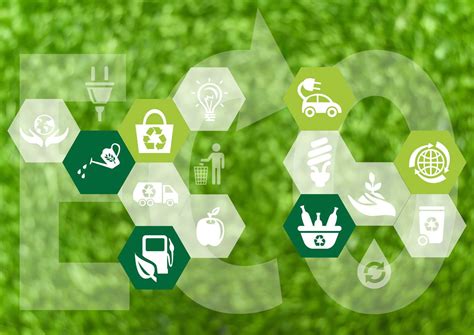 eco- 的图像结果