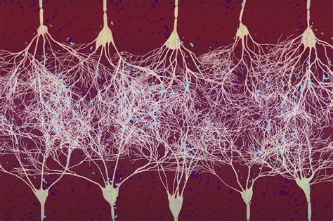 Organic AI Computer 的图像结果