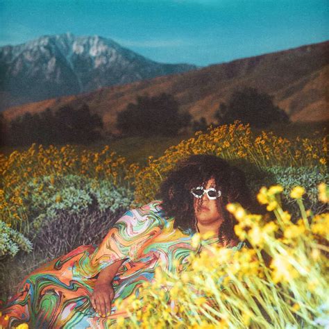 Former Alabama Shakes frontwoman Brittany Howard makes light of the ...