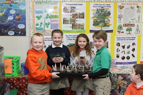 3rd Grade Science Experiments 的图像结果