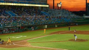 Baseball Tools 的图像结果