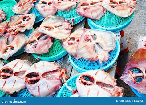 Sale of Fresh Ocellate Spot Skate Jagalchi Famous Fish Market in Busan ...