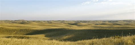 Grassland 的图像结果