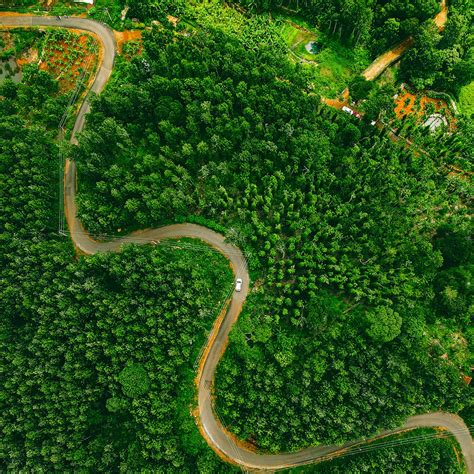 Kolli Hills in 48 Hours | LBB,Chennai