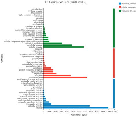 Stage-Specific Transcriptomes of the Mussel Mytilus coruscus Reveals ...
