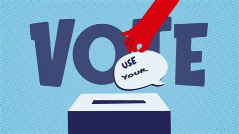 Vote Animation 的图像结果