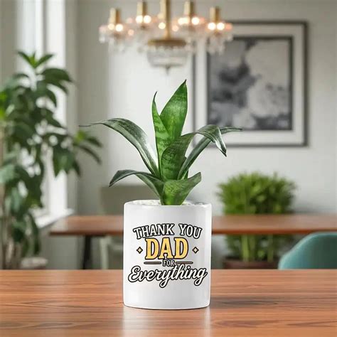Sansaveria Plant with Dad Pot - Sansevieria Gift | Air-Purifying ...