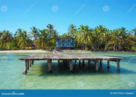 Dock with Beach House and Coconut Trees Stock Photo - Image of platform ...